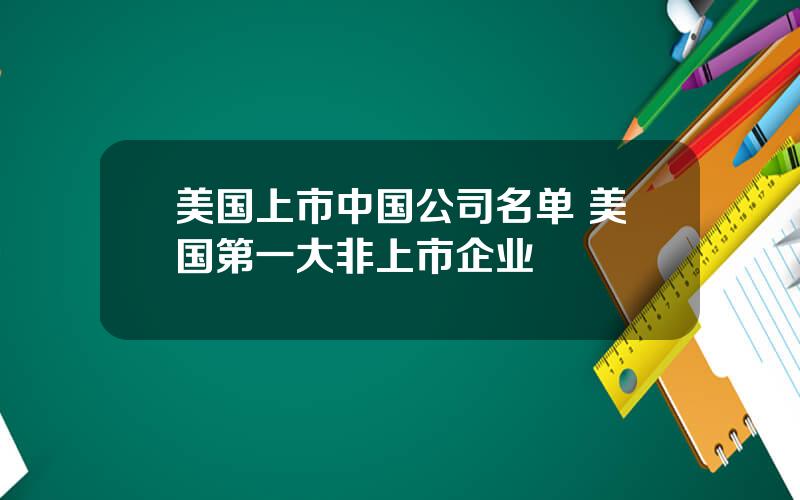 美国上市中国公司名单 美国第一大非上市企业